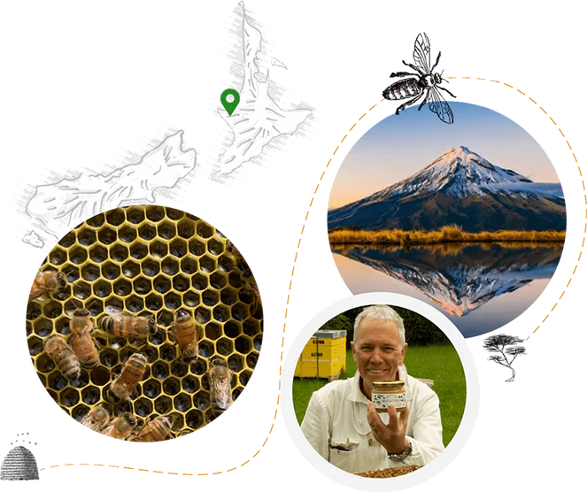 Pure New Zealand Manuka Gold